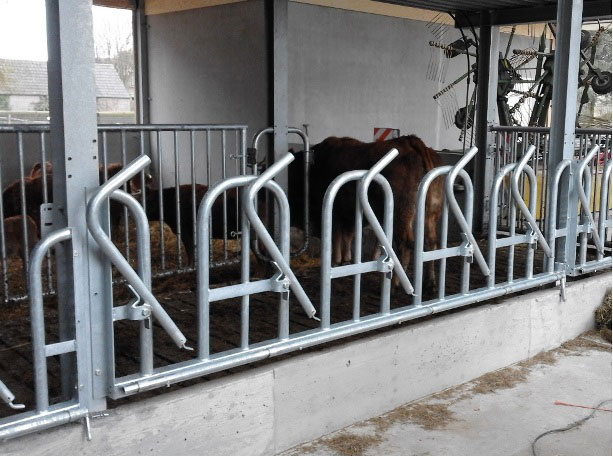 voerhekken Gaasbeek Constructie