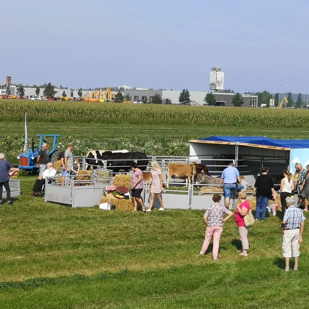 kinderboerderij Gaasbeek Constructie