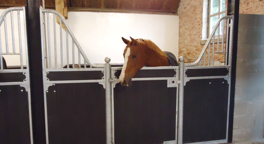 luxe paardenstal Gaasbeek Constructie